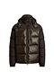 Giubbino Ralph Lauren